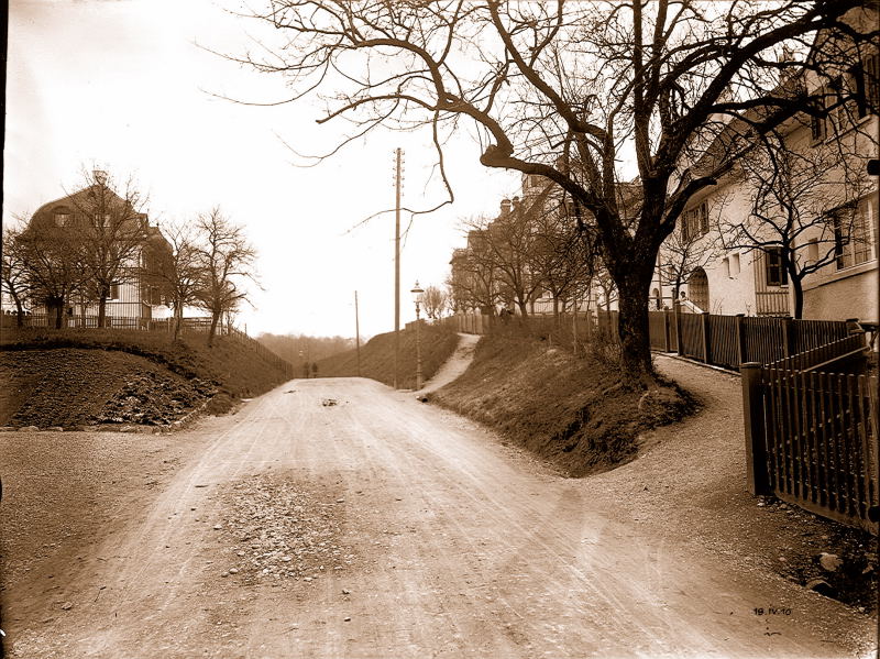 Alte Witikonerstrasse